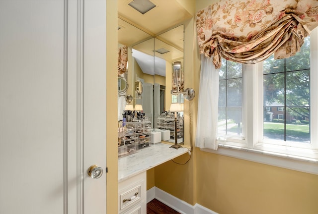 bathroom featuring hardwood / wood-style flooring and plenty of natural light