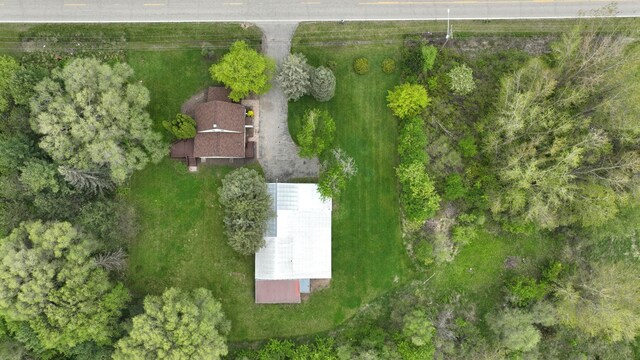 7200 E Tomah Rd, Mount Pleasant, MI 48858 - bird's eye view