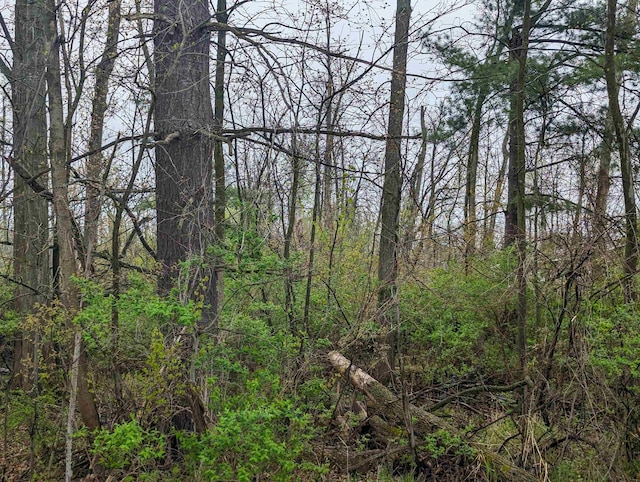 N/A Carrington St, Omer, MI 48749 - photo 2