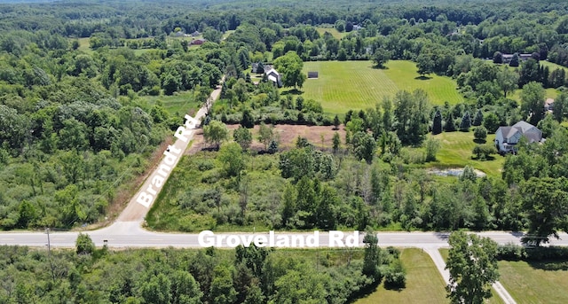 Listing photo 3 for VacantLand Brandt Road, Ortonville MI 48462