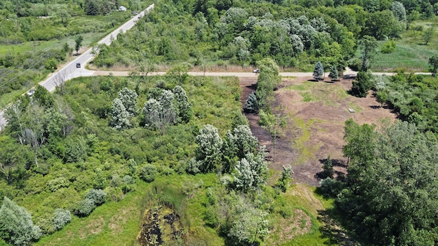 VacantLand Brandt Road, Ortonville, MI 48462 - photo 5
