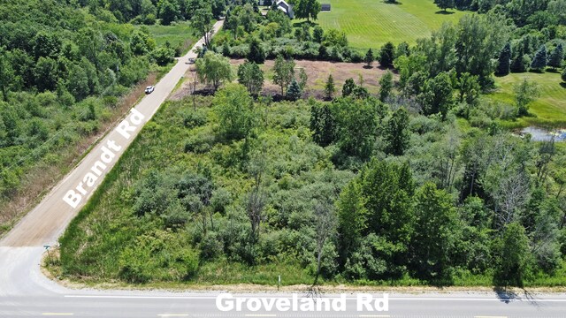 VacantLand Brandt Road, Ortonville, MI 48462 - photo 4