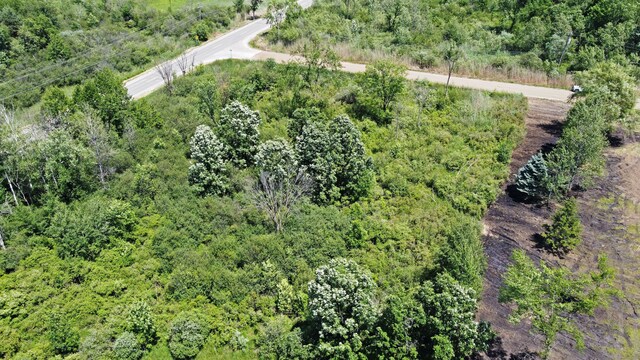 VacantLand Brandt Road, Ortonville, MI 48462 - photo 6