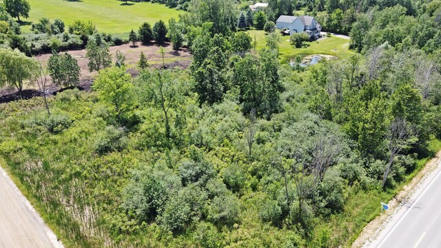 VacantLand Brandt Road, Ortonville, MI 48462 - photo 7