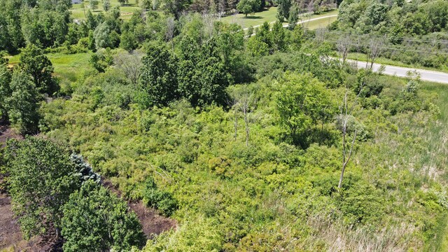 VacantLand Brandt Road, Ortonville, MI 48462 - photo 8