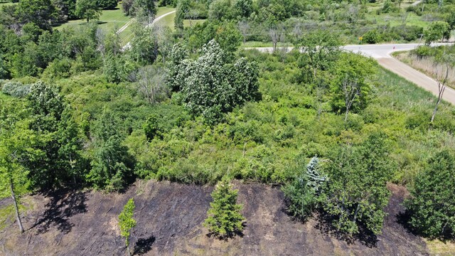 VacantLand Brandt Road, Ortonville, MI 48462 - photo 10