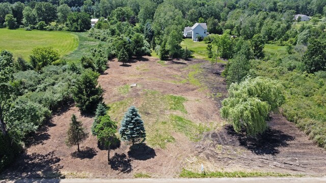VacantLand Brandt Road, Ortonville, MI 48462 - photo 12