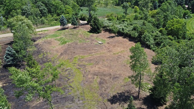 VacantLand Brandt Road, Ortonville, MI 48462 - photo 13