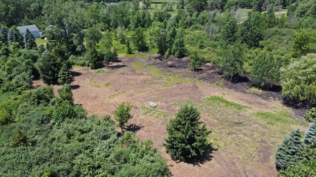 VacantLand Brandt Road, Ortonville, MI 48462 - photo 15