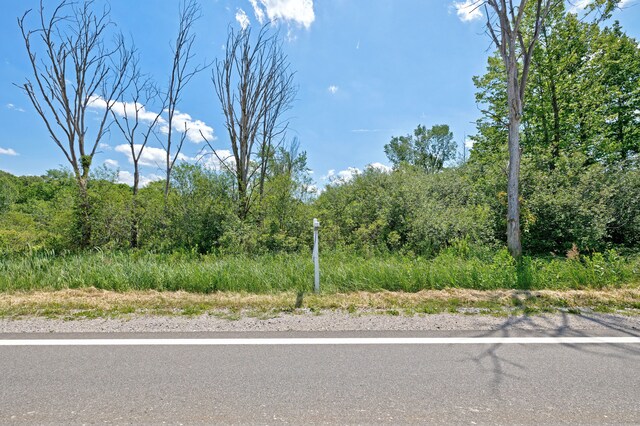 VacantLand Brandt Road, Ortonville, MI 48462 - photo 19