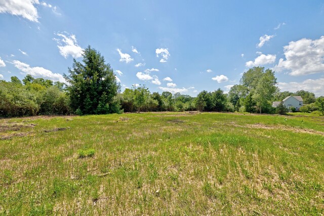 VacantLand Brandt Road, Ortonville, MI 48462 - photo 23