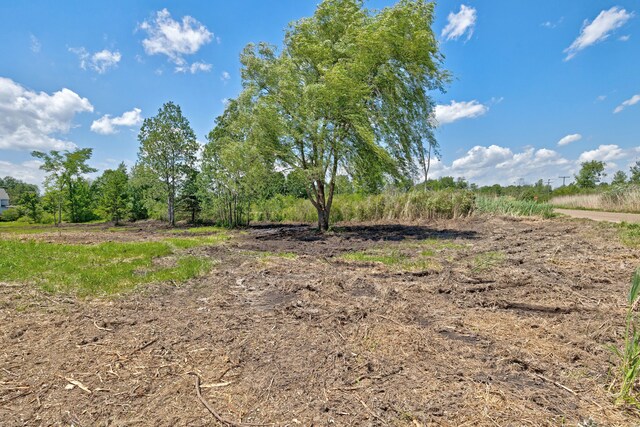 VacantLand Brandt Road, Ortonville, MI 48462 - photo 22