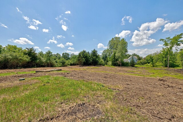 VacantLand Brandt Road, Ortonville, MI 48462 - photo 26