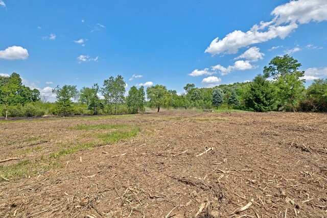 VacantLand Brandt Road, Ortonville, MI 48462 - photo 27
