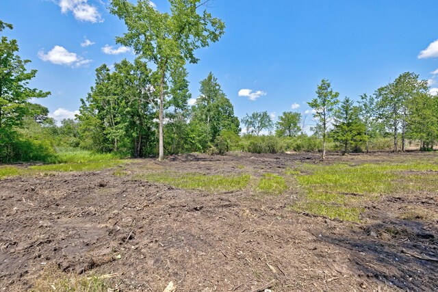 VacantLand Brandt Road, Ortonville, MI 48462 - photo 29