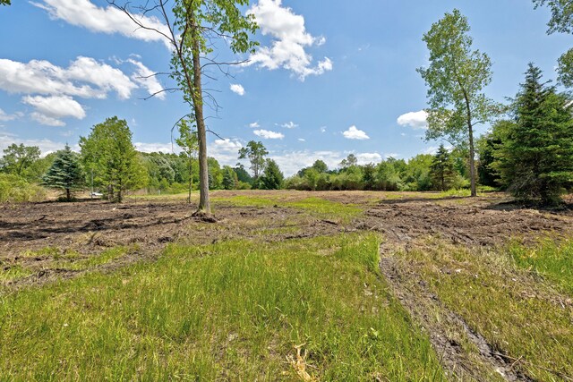VacantLand Brandt Road, Ortonville, MI 48462 - photo 30