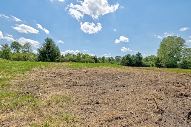 VacantLand Brandt Road, Ortonville, MI 48462 - photo 33