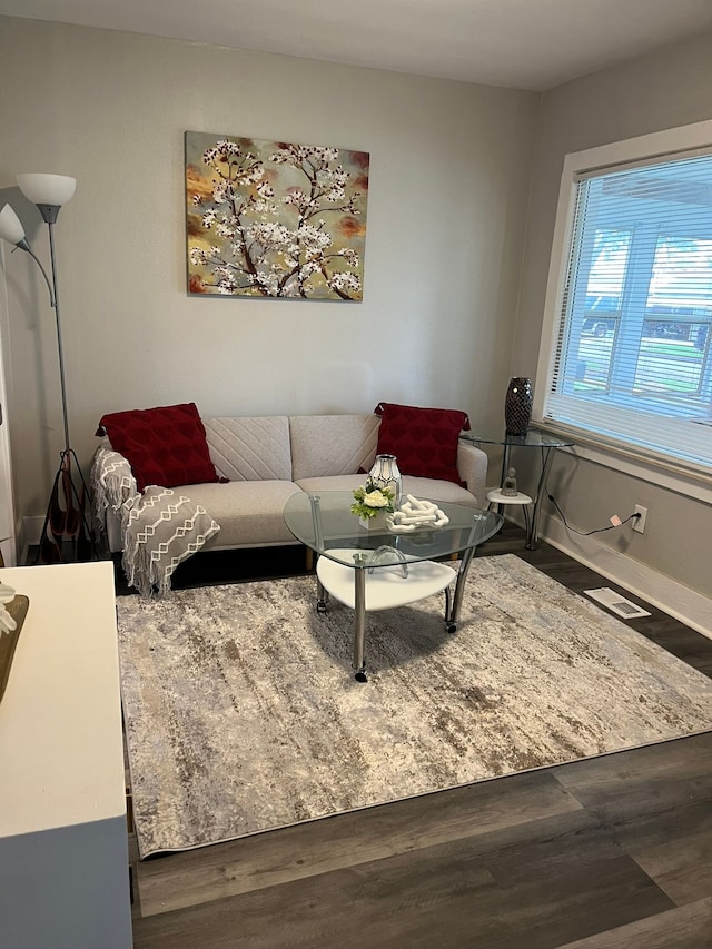 living room with wood-type flooring