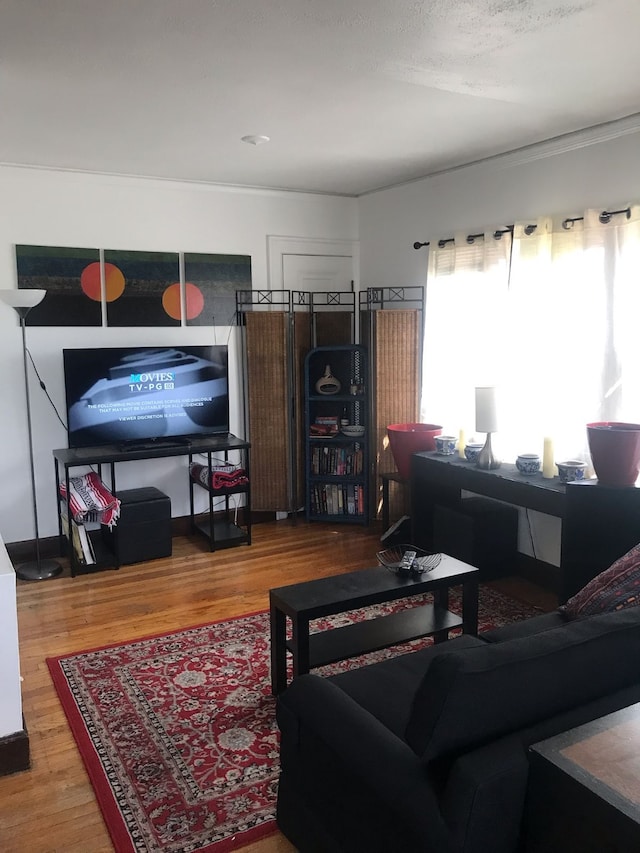 living room featuring hardwood / wood-style flooring