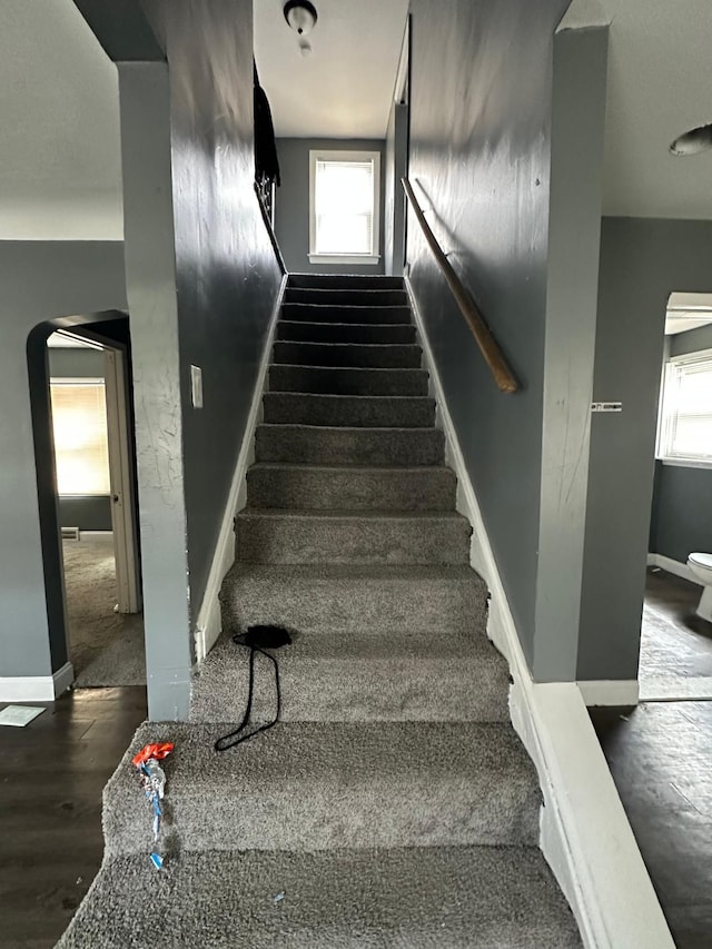 stairway with hardwood / wood-style floors