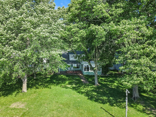 view of yard with a deck