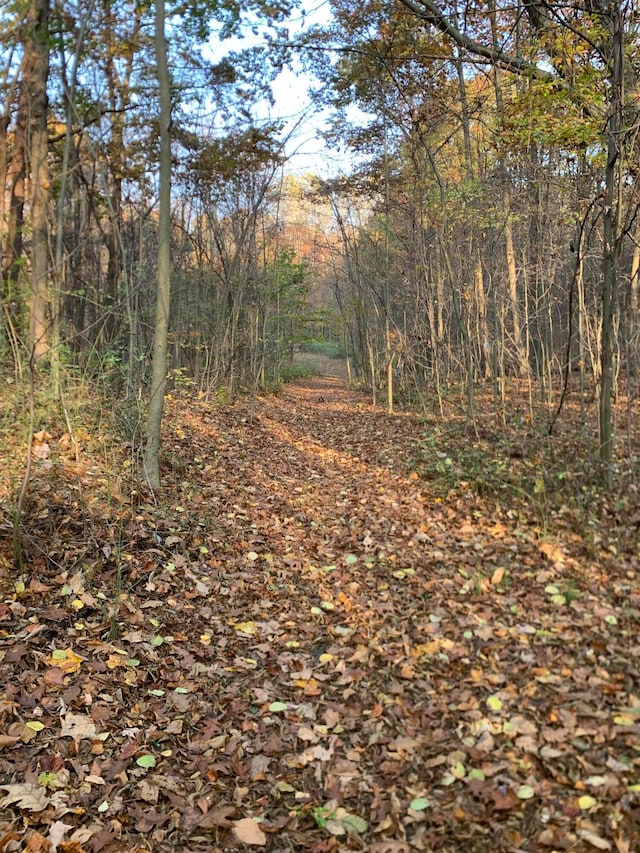 view of landscape with a wooded view