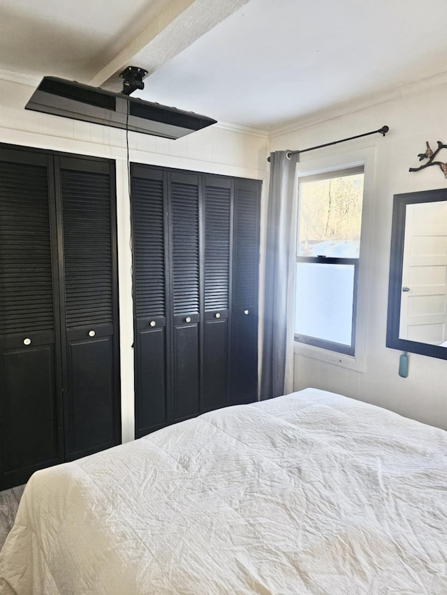 bedroom with multiple closets