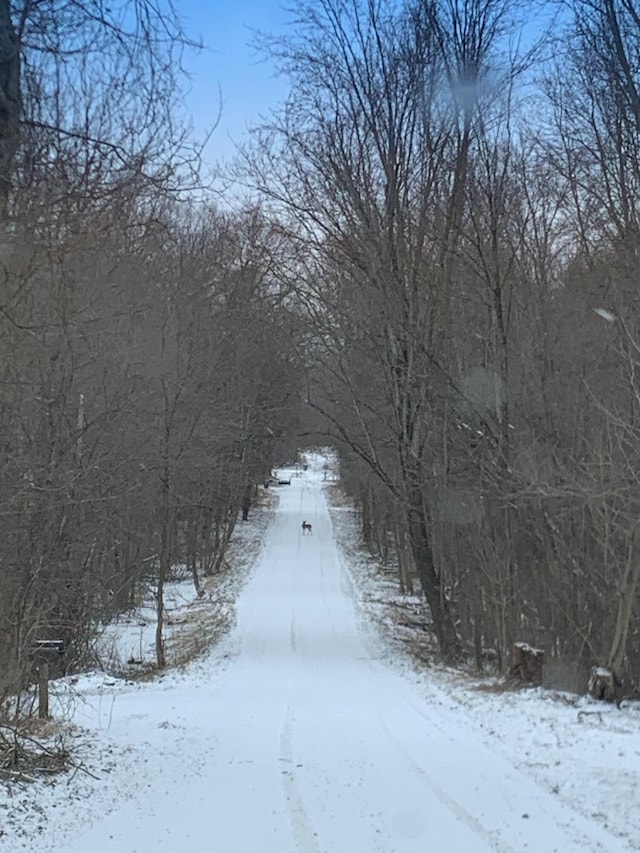 view of road