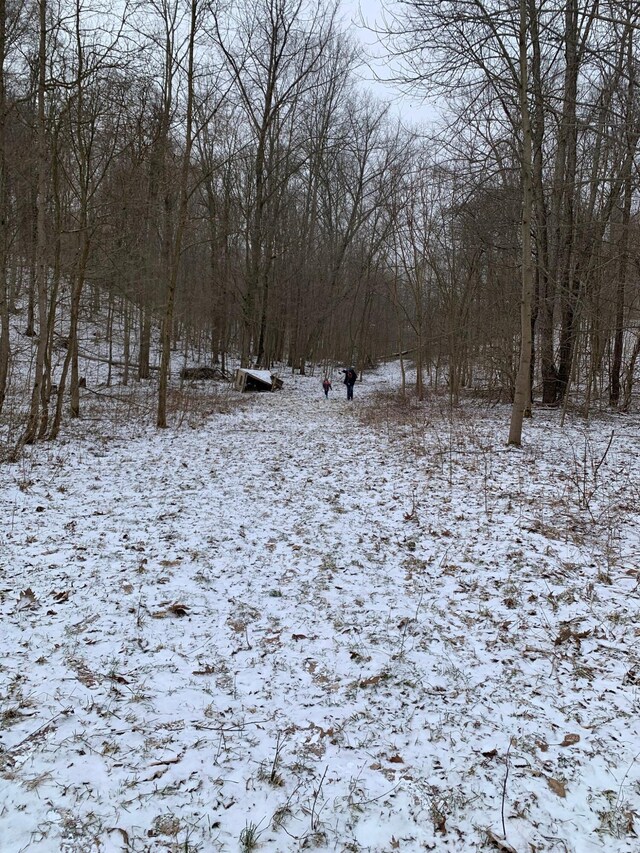 view of yard covered in snow