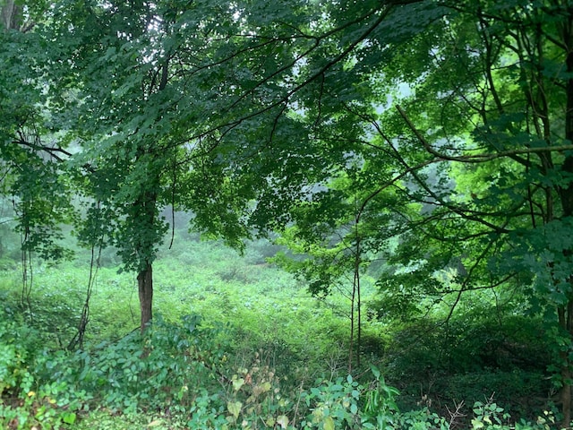 view of landscape featuring a forest view