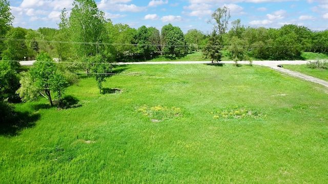 5910 Cherry Hill Rd, Ann Arbor, MI 48105 - photo 18