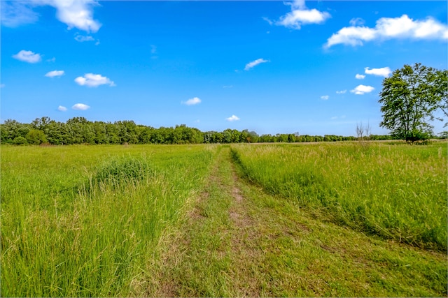 view of landscape featuring a rural view