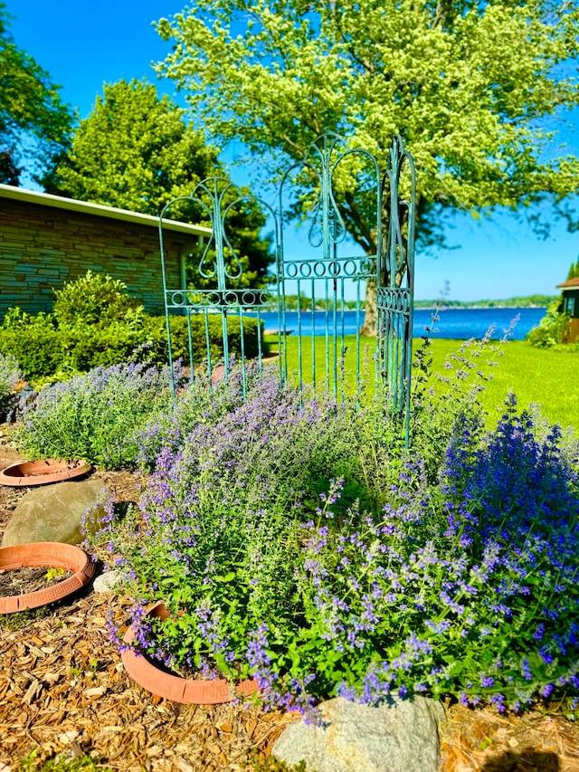 view of yard with a water view