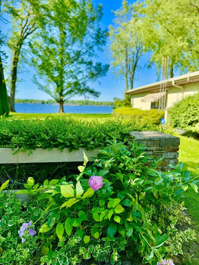 7206 Beechwood Cir, Watervliet, MI 49098 - view of yard with a water view