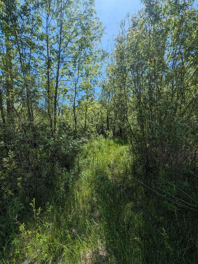 N/A Santiago Rd, Au Gres, MI 48703