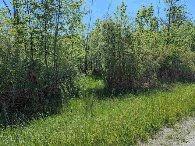 N/A Santiago Rd, Au Gres, MI 48703