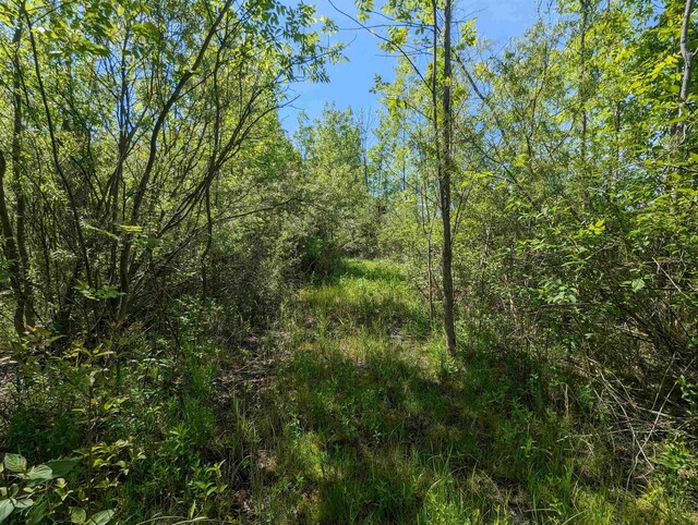 N/A Santiago Rd, Au Gres, MI 48703