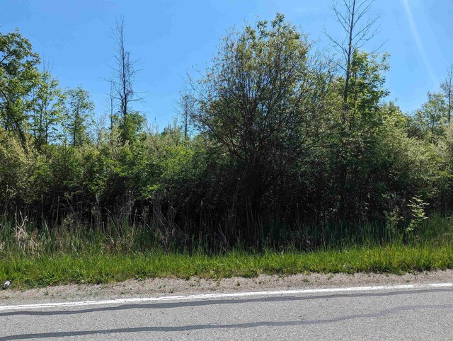 N/A Santiago Rd, Au Gres, MI 48703