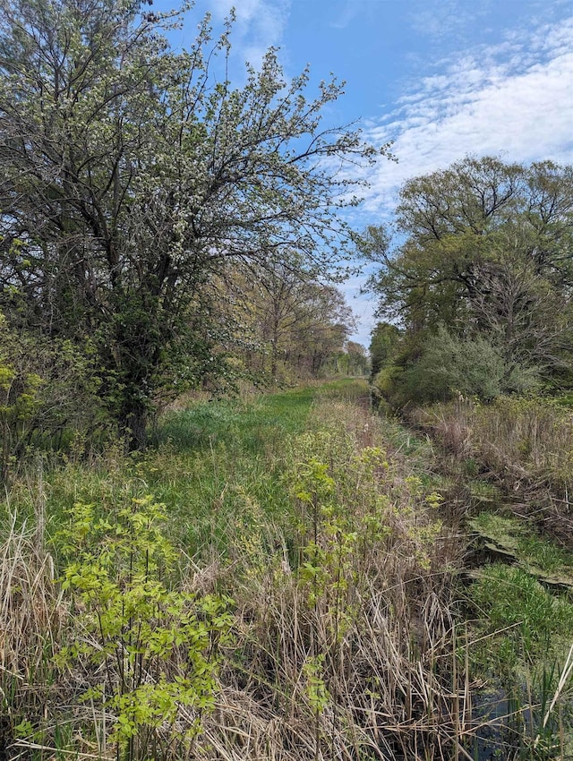 N/A Santiago Rd, Au Gres, MI 48703