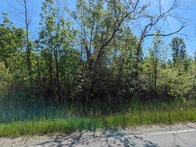 N/A Santiago Rd, Au Gres, MI 48703