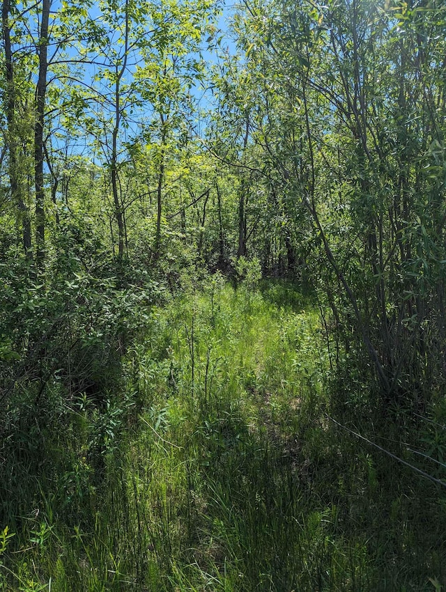 N/A Santiago Rd, Au Gres, MI 48703