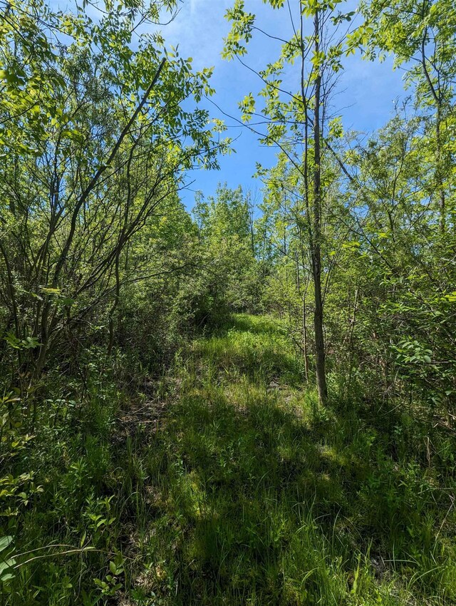 N/A Santiago Rd, Au Gres, MI 48703