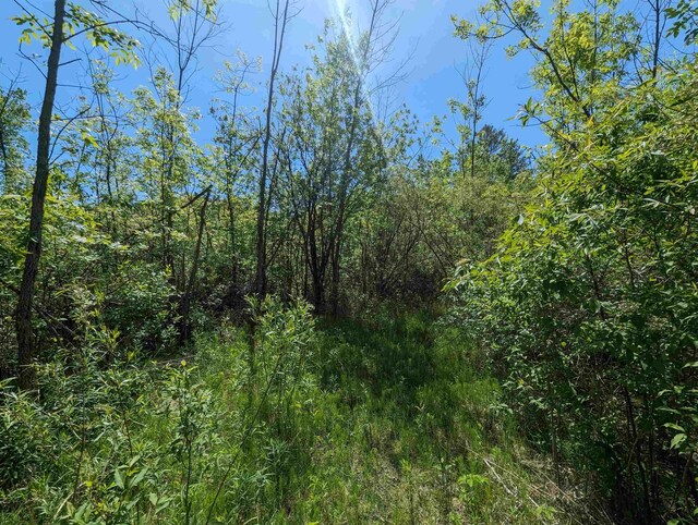 N/A Santiago Rd, Au Gres, MI 48703