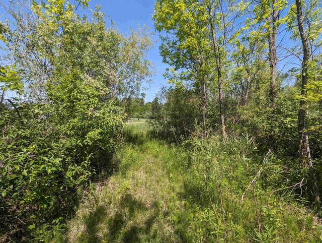 N/A Santiago Rd, Au Gres, MI 48703