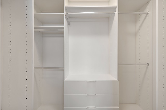 view of walk in closet