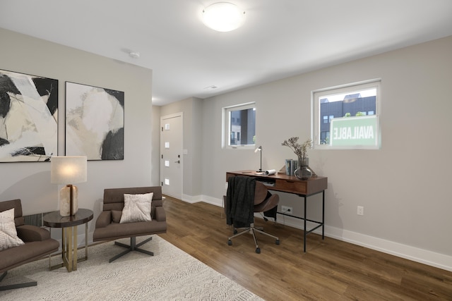 office with wood-type flooring