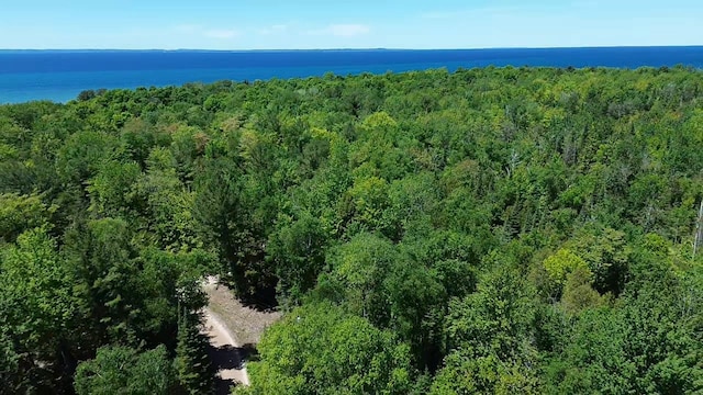 0 Timberlane Dr, Ellsworth MI, 49729 land for sale