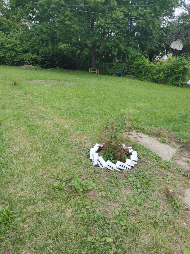 11675 Forrer St, Detroit, MI 48227 - view of grassy yard