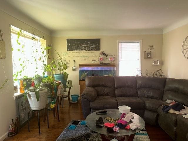 living room featuring dark hardwood / wood-style flooring