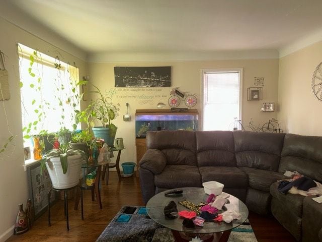 14141 Rossini Dr, Detroit, MI 48205 - living room with wood finished floors